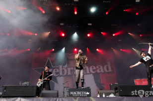 Deichbrand Festival 2015 – Zebrahead